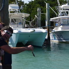 Feeding the hungry fishes in Cayo Largo, April 2015