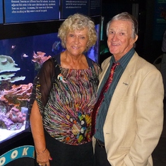 Mote Aquarium 2012