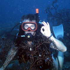 Nils the diver