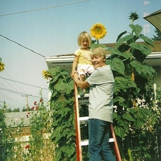 2005 Mom Syd sunflower