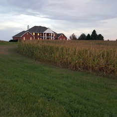 The palace in the corn fields