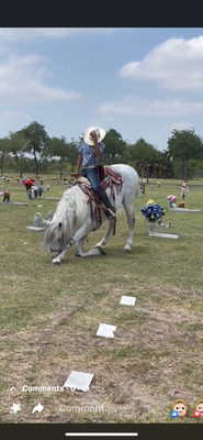 Olegario Toscano Hinojosa