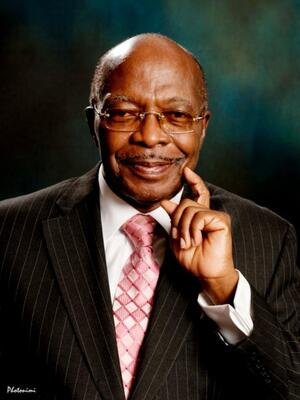 Ambassador. Olufemi Julian Ani