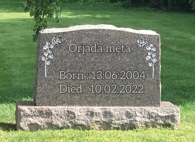 Orjada Albert Meta