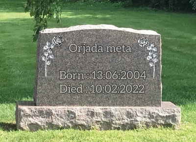 Orjada Albert Meta