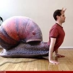 human snail