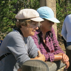 Birding in Yellowstone means looking at more than birds 2012  (Dave Fielding)
