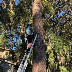 Owen loved to ramp up our Xmas light display. HHI