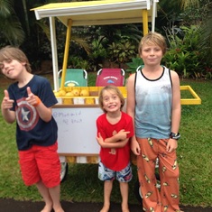 Owen, Greyson and Cousin Wyatt selling grapefruits from our yard in Princeville. Young entrepreneur.