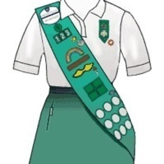 Girl Scout Sash