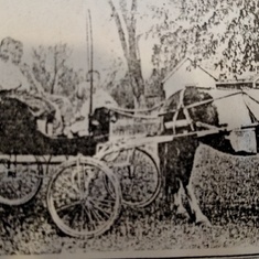 Pony cart pulled by "Pony" was built by grandpa August Verfurth for the kids to ride to school in. 