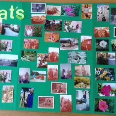 Pat's Plants Photo board from the Celebration of LIfe 3/30/19