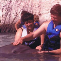 Petting dolphins