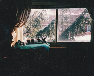 Paul Michael Enston