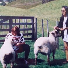 Misha and Paula with sheep - Rotorua, New Zealand1999-2000