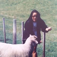 Paula's introduction to New Zealands sheep! Rotorua- 1999-2000 _NZ