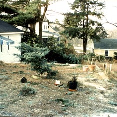 Whitney and Deb's backyard before Peter created a garden