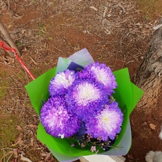 Brought you some purple flowers - your favourite colour, Peter.