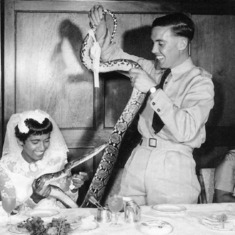 1959-04-04 - Kotha's snake was a surprise guest at the reception.