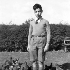 1949 - Peter and chickens at 'White Cottage' in Nettleton, Whiltshire.