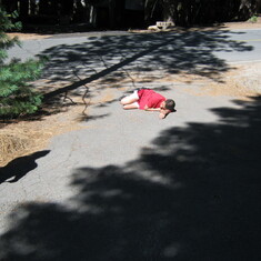 Lying around in the Almanor driveway