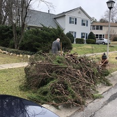 Cleaning up the yard, 2019