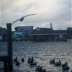 View from Jolly Roger, Ocracoke