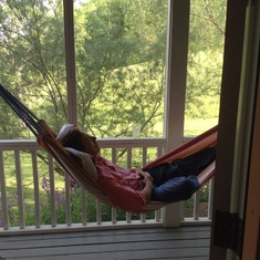 Pop in a hammock 