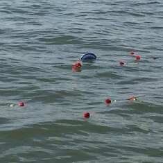 After the grandchildren lowered the shell into the ocean, it peacefully floated away trailed by red roses...