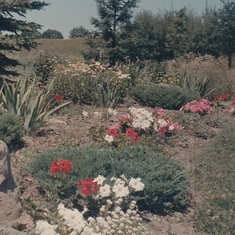 1965-08_Phyllis'_garden