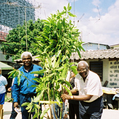 Dad and Mbassi planting trees