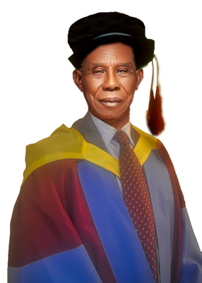 Professor Emeritus Chikezie Ogbonna