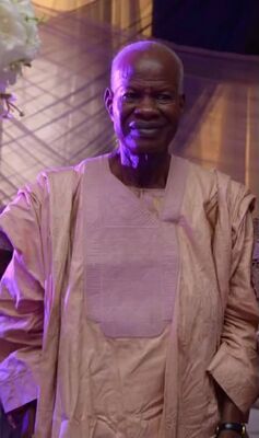 Professor Emmanuel Ajibade Jesujumo (Ogunjumo)