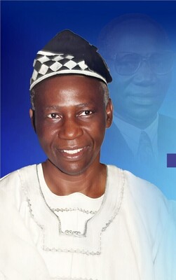 Professor Idowu Iweibo