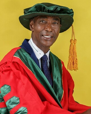 Professor Godwill Uwadinachi Chukwu