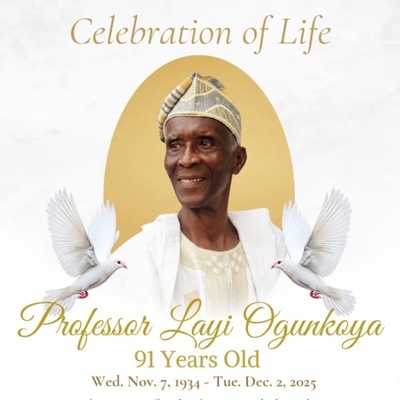 Professor Layi Ogunkoya