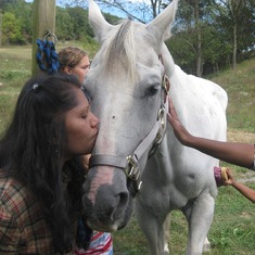 Love for Horse