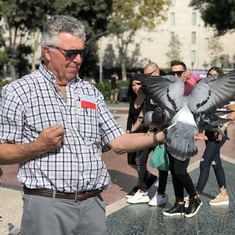 Ray feeding Lisbon pigeons 2019