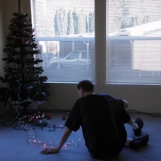 Setting up the Christmas tree [2014]
