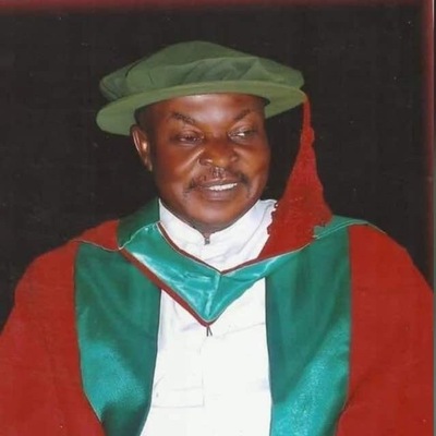 Rev. Fr. Dr. Johnmartins Chukwuemeka Chikani