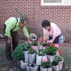 Planting flowers