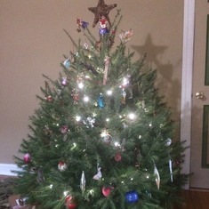 Our Christmas tree 2015