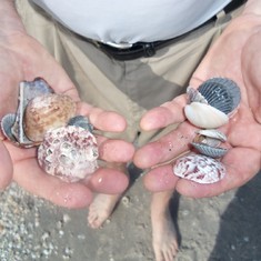 Richard found seashells                   100_1682
