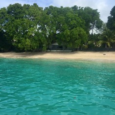 Barbados.   I actually was in the water.  You are swimming with the turtles.