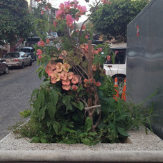 A new planter in Puerto Vallarta in honor of Rita and Tamara