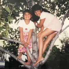 Rita and Tasha loved to climb this tree