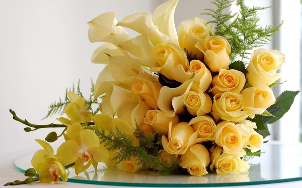 Robert Ashley