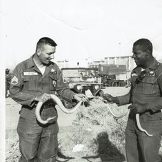 Dad petting a snake in the army04112018