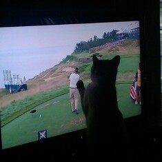 Simonboy watching golf with Bob!