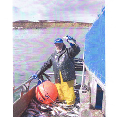 Herring Fishery 2001